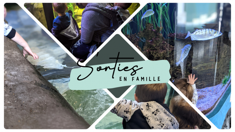3 façons d’économiser sur votre entrée à l’Aquarium du Québec