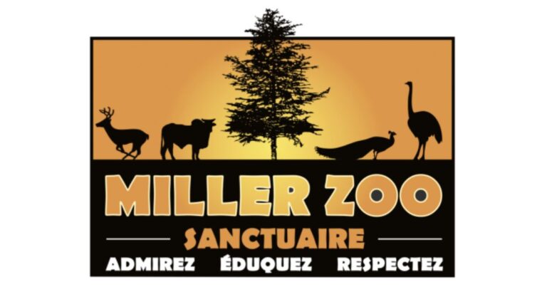 [2024] Rabais pour le Miller Zoo
