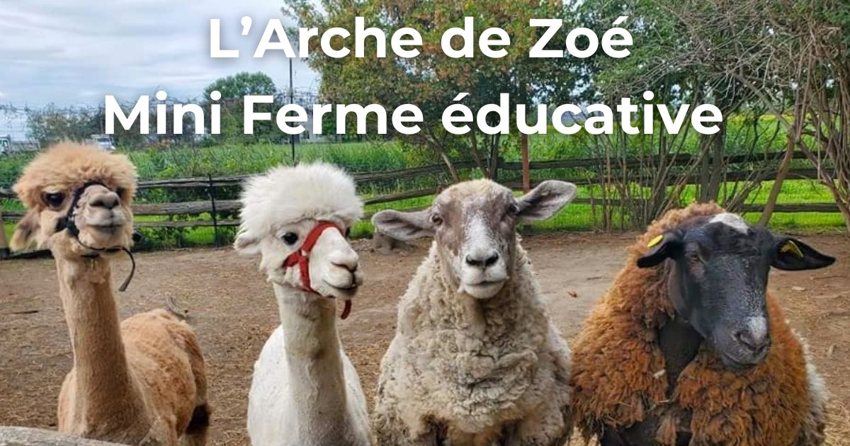 L'Arche de Zoé : Mini Ferme éducative