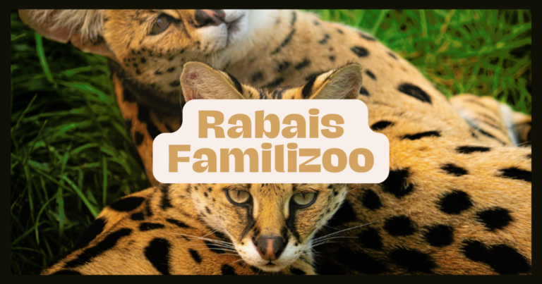 Rabais Familizoo 2024 : Économisez en Famille